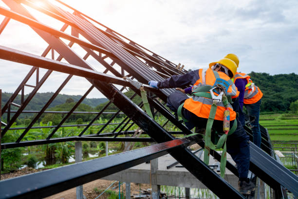 Best Residential Roofing Contractor  in Hlsboro, IL