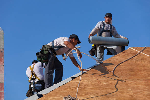 Best Flat Roof Repair Services  in Hlsboro, IL