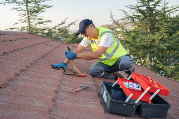Best Gutter Installation and Roofing  in Hlsboro, IL