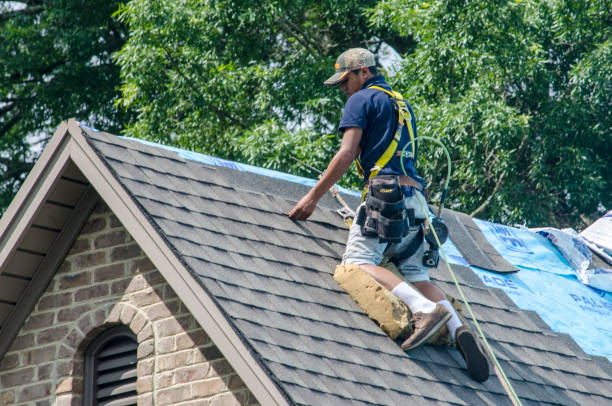 Best Storm Damage Roof Repair  in Hlsboro, IL