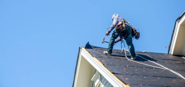 Best Roof Leak Repair  in Hlsboro, IL
